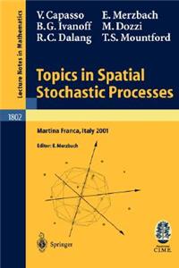 Topics in Spatial Stochastic Processes