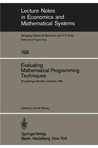 Evaluating Mathematical Programming Techniques