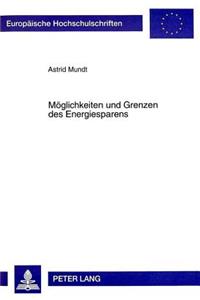 Moeglichkeiten und Grenzen des Energiesparens: Eine Analyse Am Beispiel Der Elektrizitaet