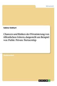 Chancen und Risiken der Privatisierung von öffentlichen Gütern, dargestellt am Beispiel von Public Private Partnership