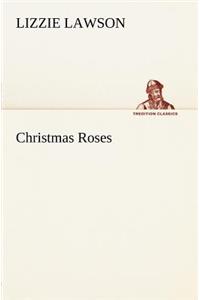 Christmas Roses
