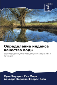 Определение индекса качества воды