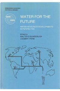 Water for the Future: Water Resources Developments in Perspective