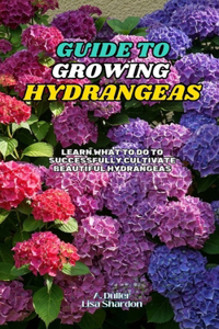 Guide to Growing Hydrangeas