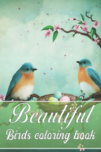 Beautiful Birds Coloring book