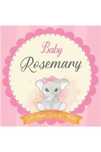 Baby Rosemary A Simple Book of Firsts