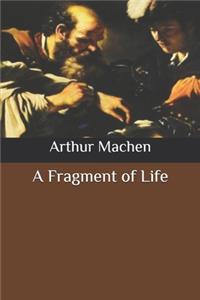 A Fragment of Life