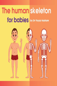 The human skeleton for babies