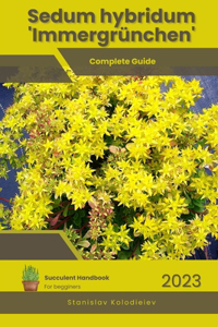 Sedum hybridum 'Immergrünchen'