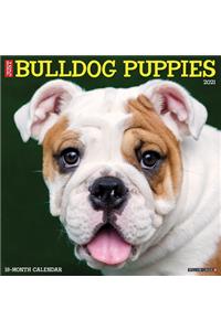 Nightmares & Dreamscapes 18 Co