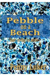 Pebble on the Beach