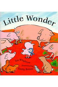 Little Wonder