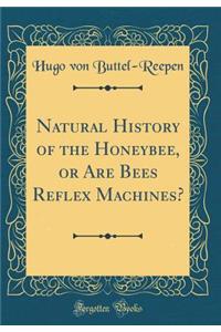 Natural History of the Honeybee, or Are Bees Reflex Machines? (Classic Reprint)