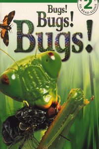 Bugs! Bugs! Bugs!