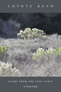 Coyote Bush