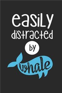 Easily Distracted by Whale