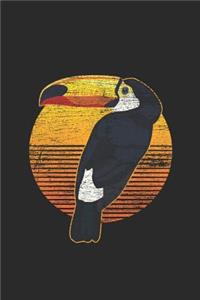 Toucan