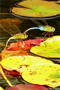 Teal Dragonflies Lined Journal for daily thoughts notebook Lovely Lake Arrowhead Photograph