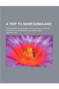 A Trip to Newfoundland; Its Scenery and Fisheries with an Account of the Laying of the Submarine Telegraph Cable