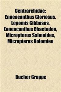 Centrarchidae: Enneacanthus Gloriosus, Lepomis Gibbosus, Enneacanthus Chaetodon, Micropterus Salmoides, Micropterus Dolomieu