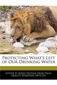 Protecting What's Left of Our Drinking Water