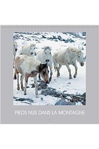 Pieds Nus Dans La Montagne 2018