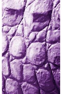 Alive! crocodile skin - Violet duotone - Photo Art Notebooks (5 x 8 series)
