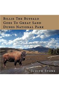 Billie the Buffalo Goes to Great Sand Dunes National Park