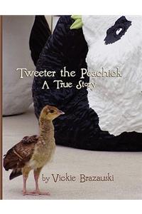 Tweeter the Peachick: A True Story