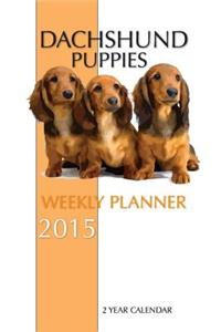 Dachshund Puppies Weekly Planner 2015