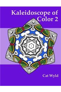 Kaleidoscope of Color 2