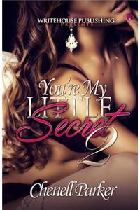 You're My Little Secret 2