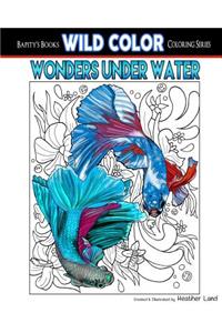 Wonders Under Water