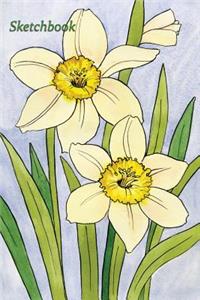 Sketchbook: Daffodils 6x9 - Blank Journal with No Lines - Journal Notebook with Unlined Pages for Drawing and Writing on Blank Paper