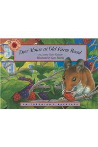 Deer Mouse at Old Farm Road