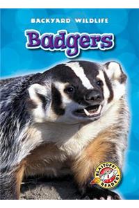 Badgers