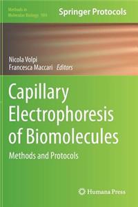 Capillary Electrophoresis of Biomolecules