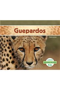 Guepardos (Cheetahs) (Spanish Version)