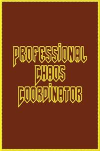 Professional Chaos Coordinator