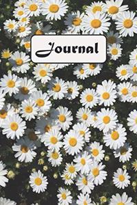 Journal