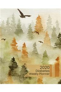 2020 Diabetes Weekly Planner
