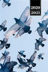 Pigeon Ornithology Bird Watching Birding Week Planner Weekly Organizer Calendar 2020 / 2021 - Under Blue Sky