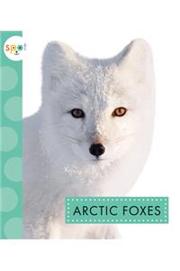 Arctic Foxes