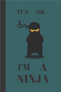 Its Ok I'm A Ninja