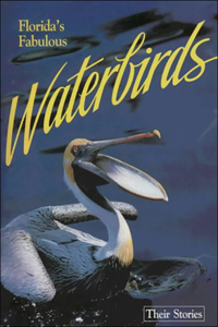 FloridaÆs Fabulous Waterbirds: Their Stories