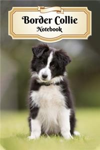 Border Collie Notebook