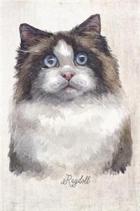Ragdoll Cat Portrait Notebook