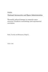 Thermally Induced Damage in Composite Space Structure