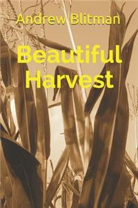 Beautiful Harvest
