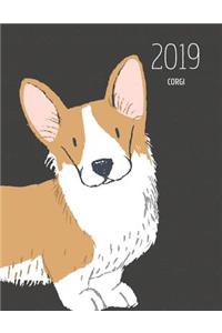 2019 Corgi Dark Spot